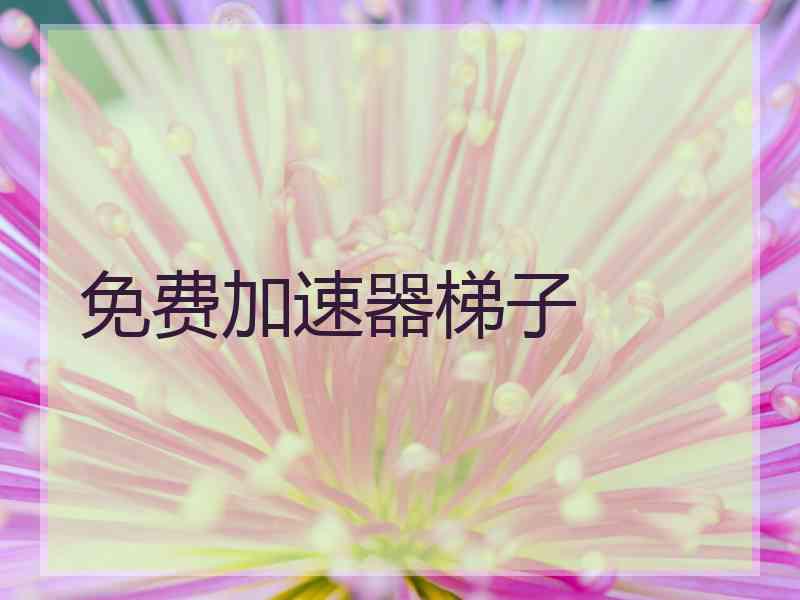 免费加速器梯子