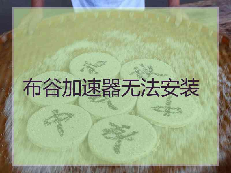 布谷加速器无法安装