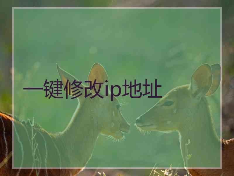 一键修改ip地址