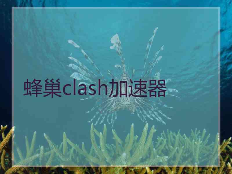 蜂巢clash加速器