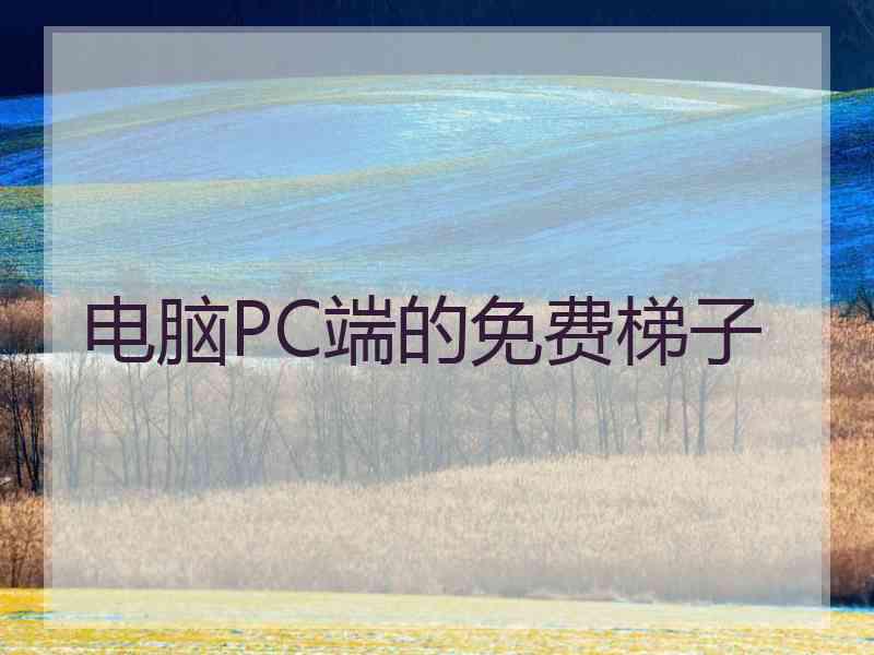 电脑PC端的免费梯子
