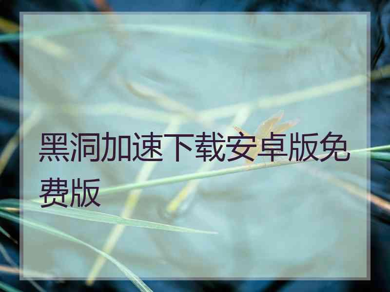 黑洞加速下载安卓版免费版