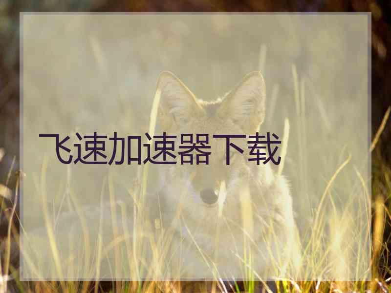 飞速加速器下载