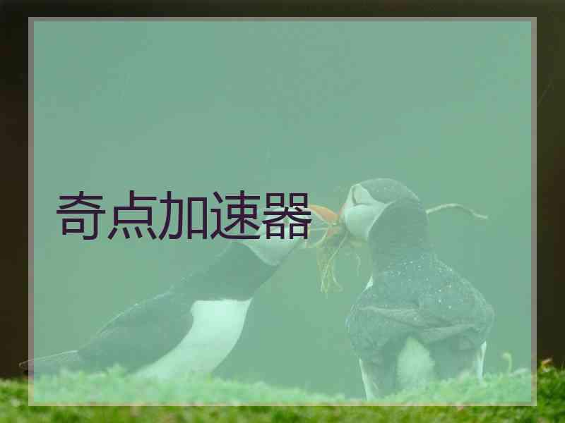 奇点加速器