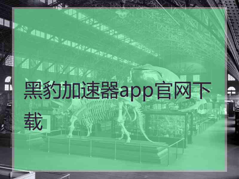 黑豹加速器app官网下载