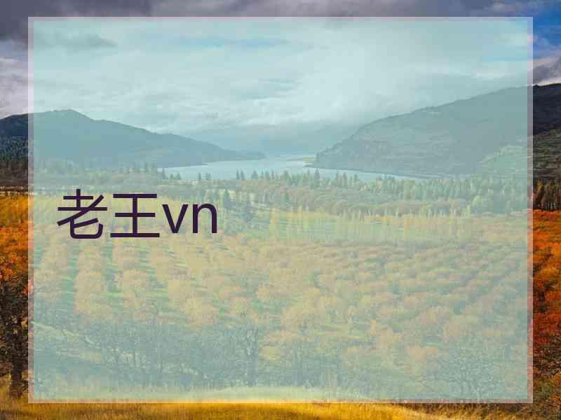老王vn