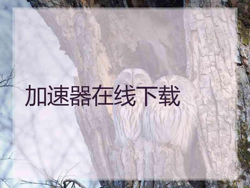 加速器在线下载