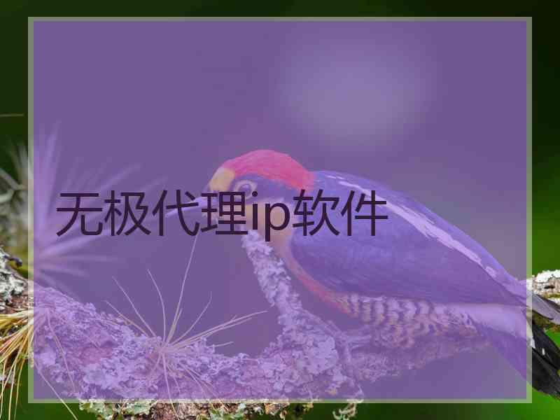 无极代理ip软件