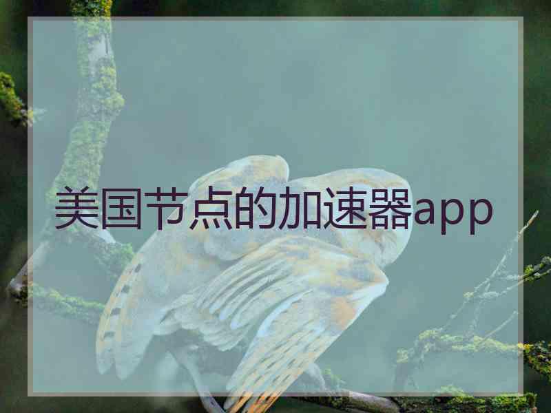 美国节点的加速器app