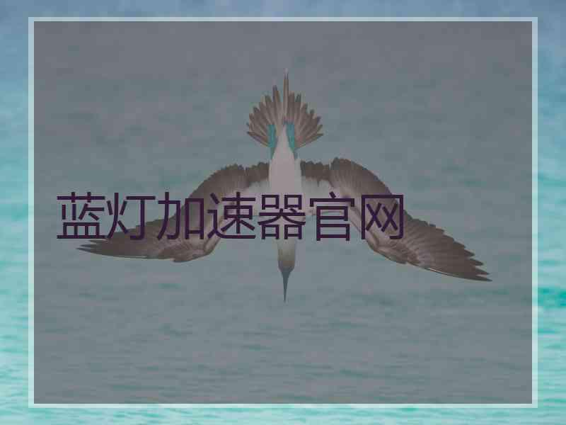 蓝灯加速器官网