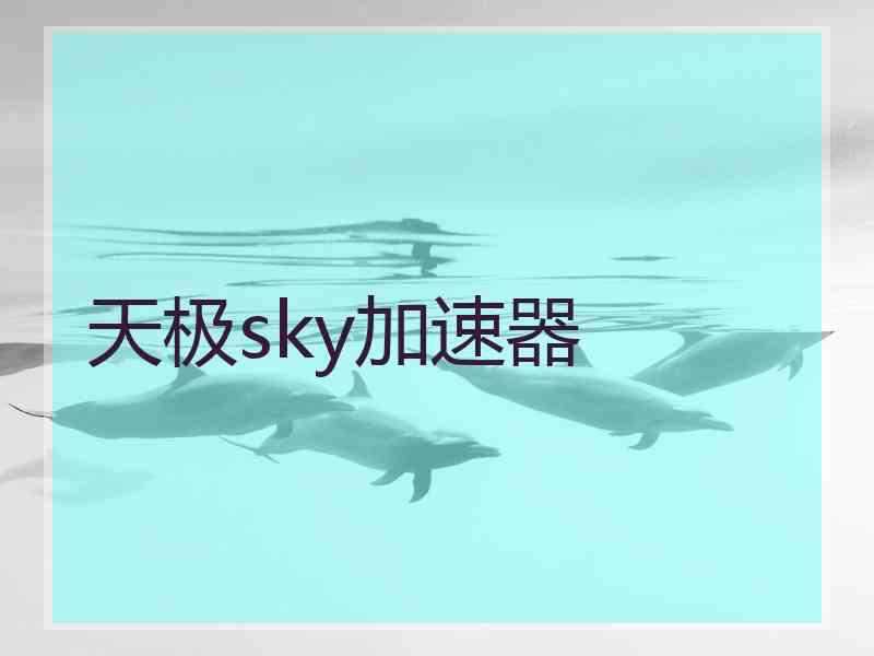 天极sky加速器
