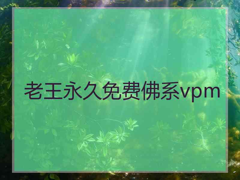 老王永久免费佛系vpm