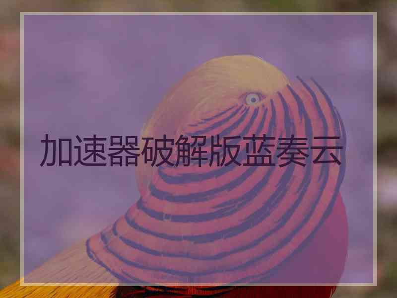 加速器破解版蓝奏云
