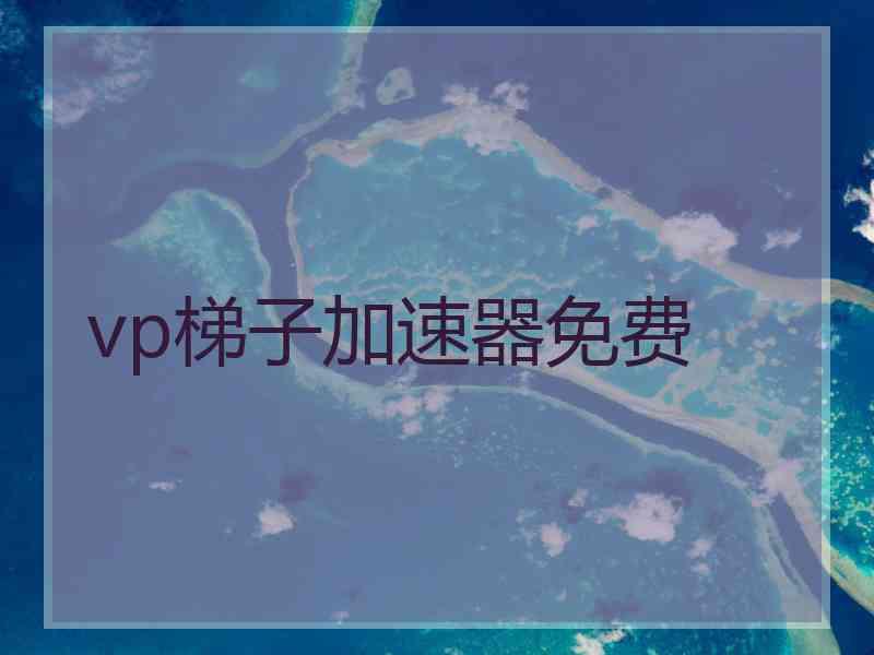 vp梯子加速器免费