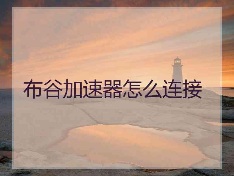 布谷加速器怎么连接