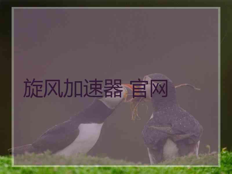 旋风加速器 官网