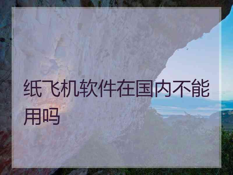 纸飞机软件在国内不能用吗