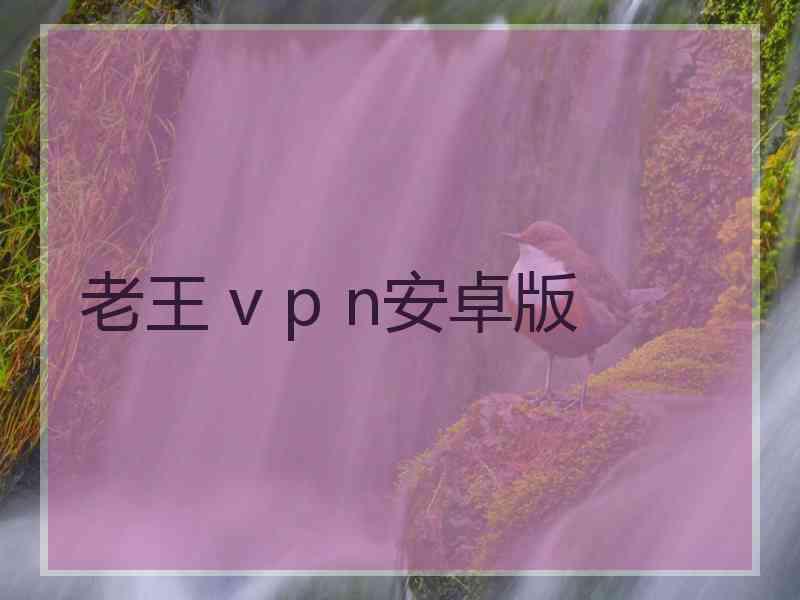 老王 v p n安卓版