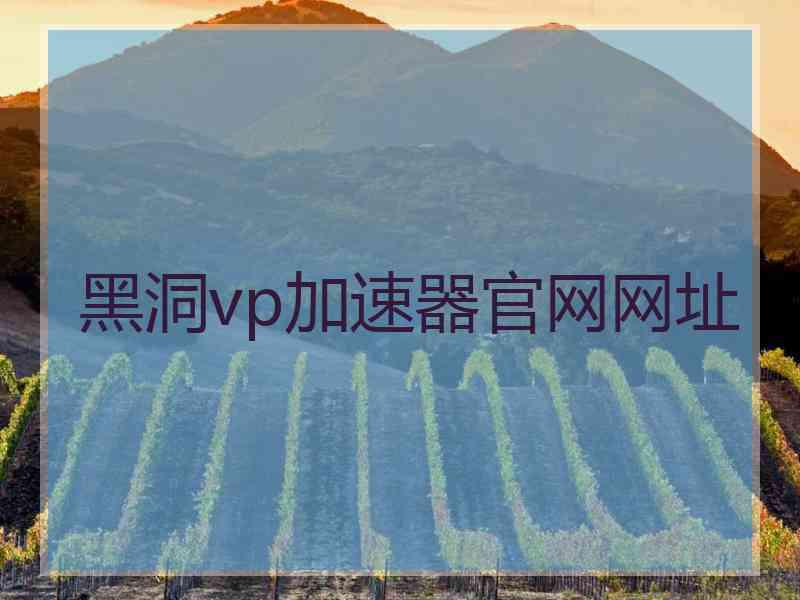 黑洞vp加速器官网网址