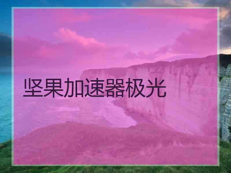 坚果加速器极光