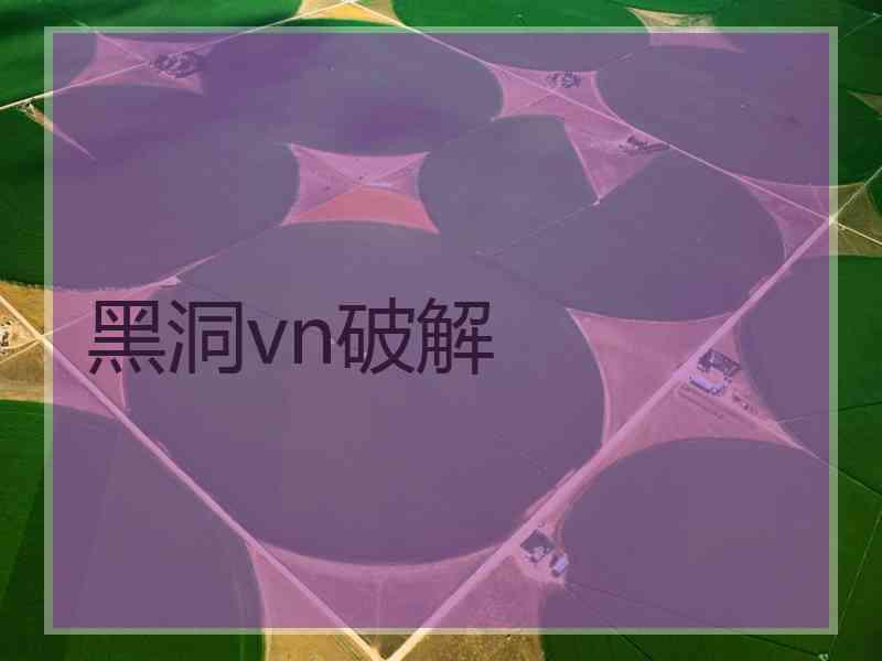 黑洞vn破解
