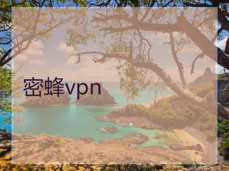 密蜂vpn