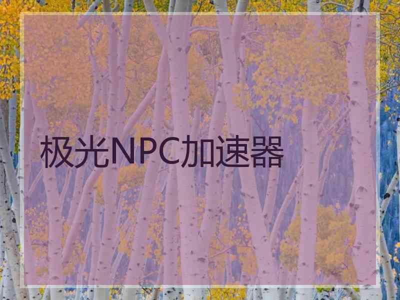 极光NPC加速器