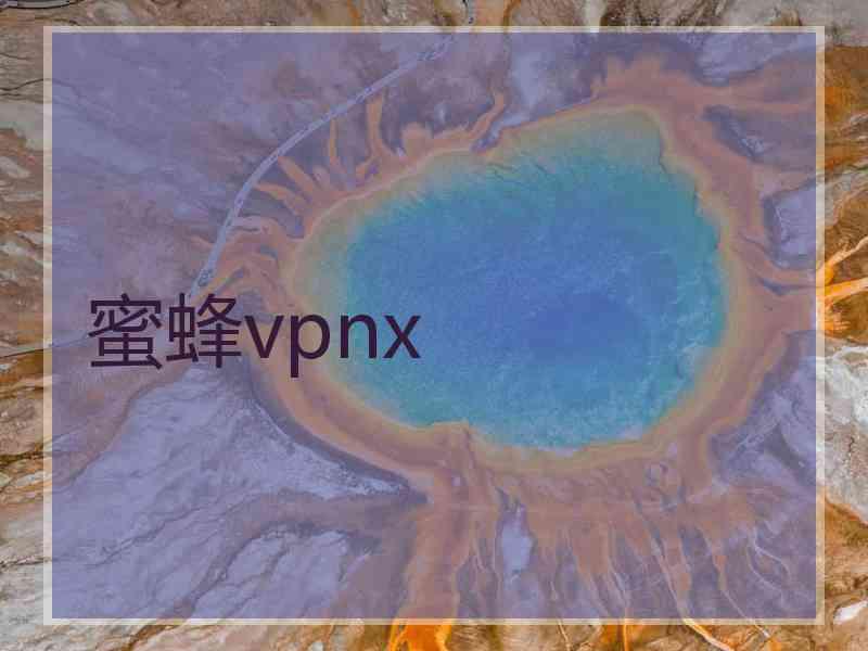 蜜蜂vpnx