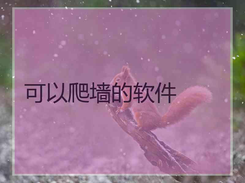 可以爬墙的软件