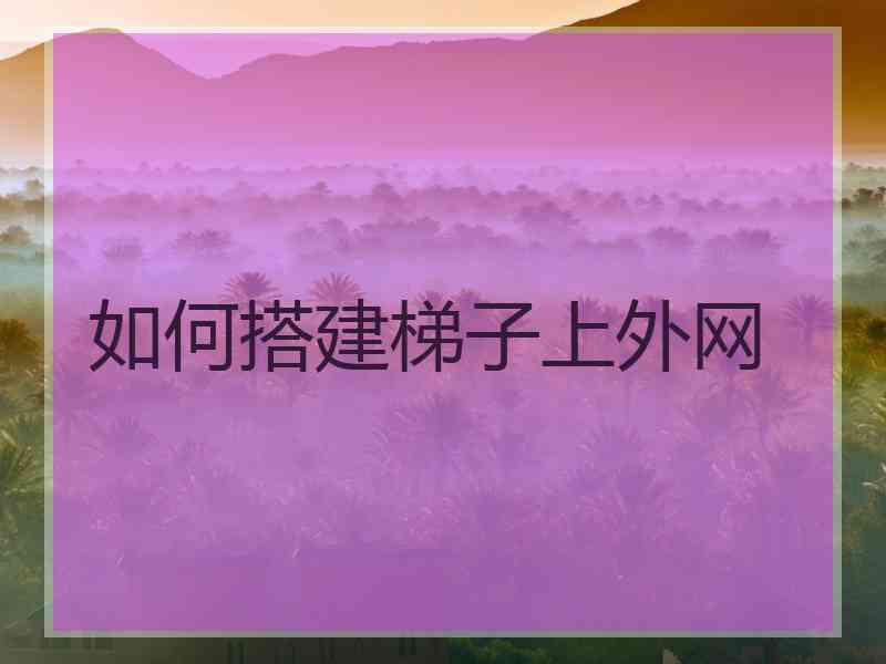 如何搭建梯子上外网