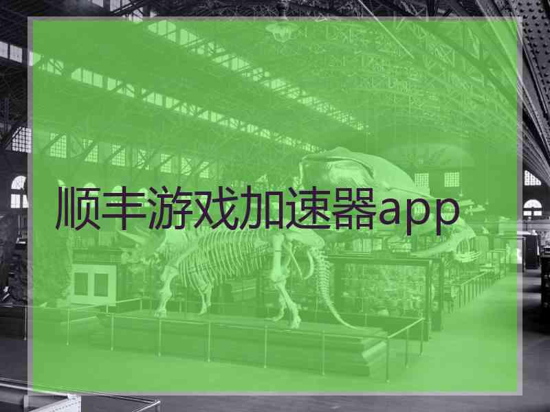 顺丰游戏加速器app