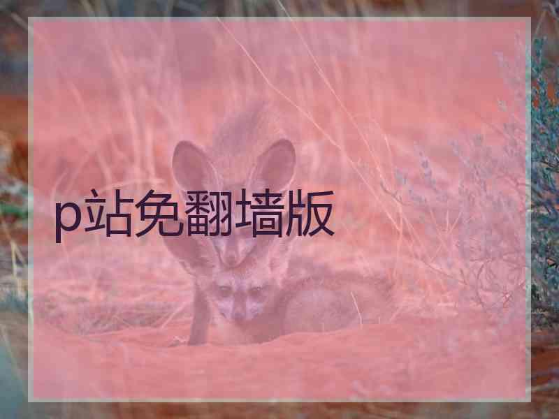 p站免翻墙版