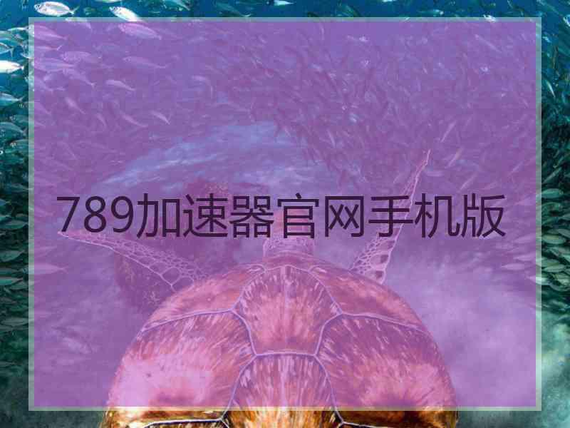789加速器官网手机版