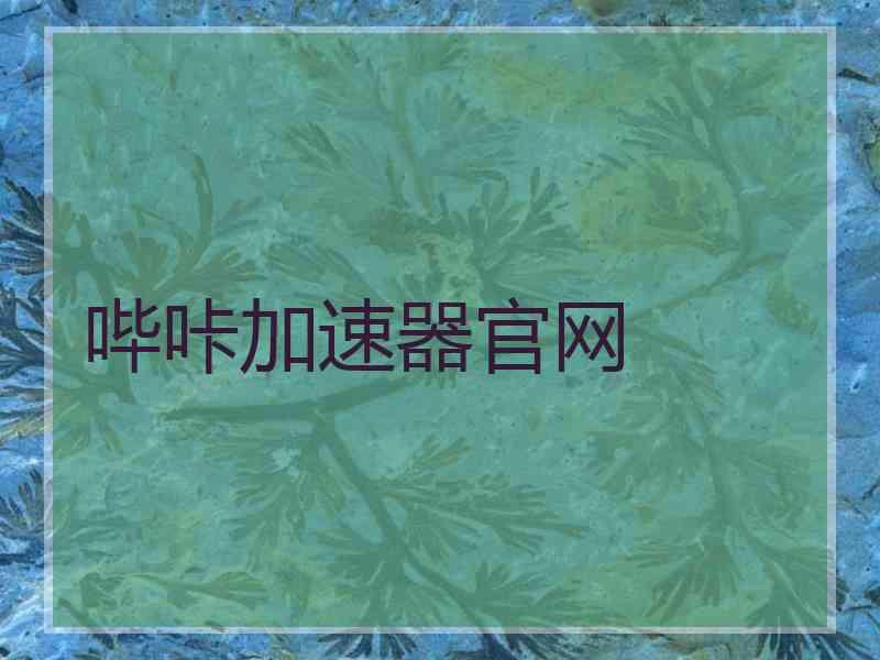 哔咔加速器官网