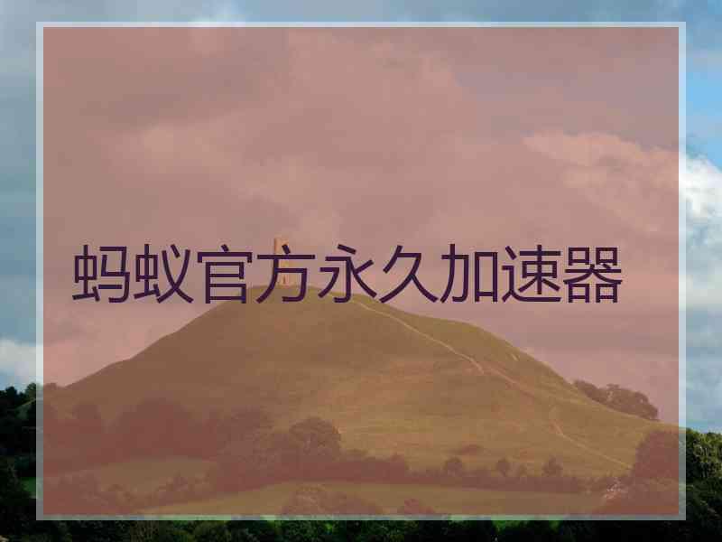 蚂蚁官方永久加速器