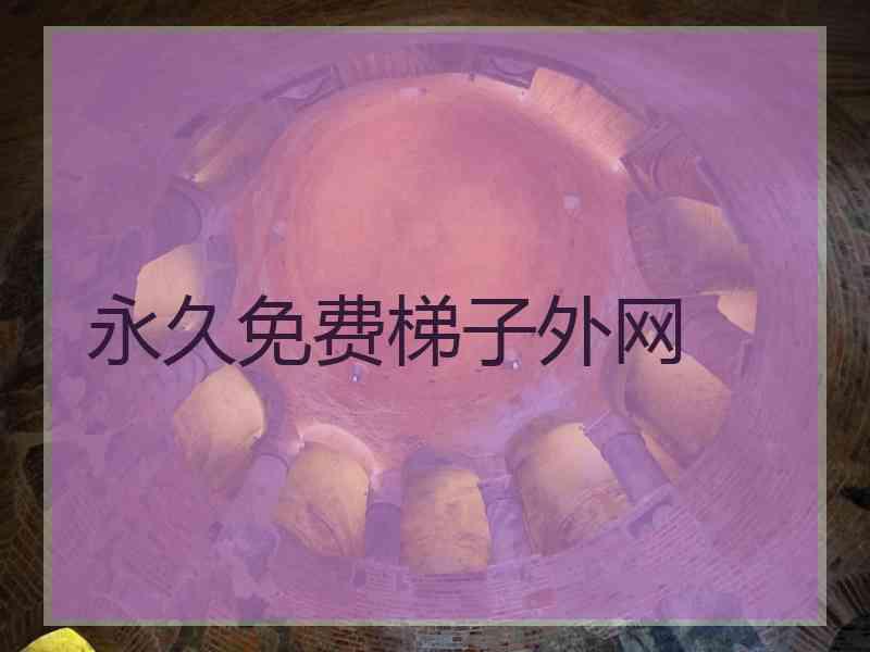 永久免费梯子外网