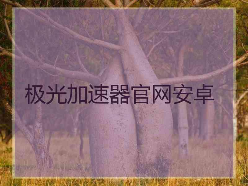 极光加速器官网安卓