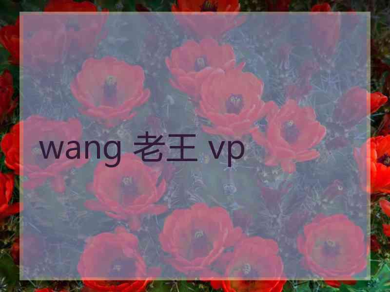 wang 老王 vp
