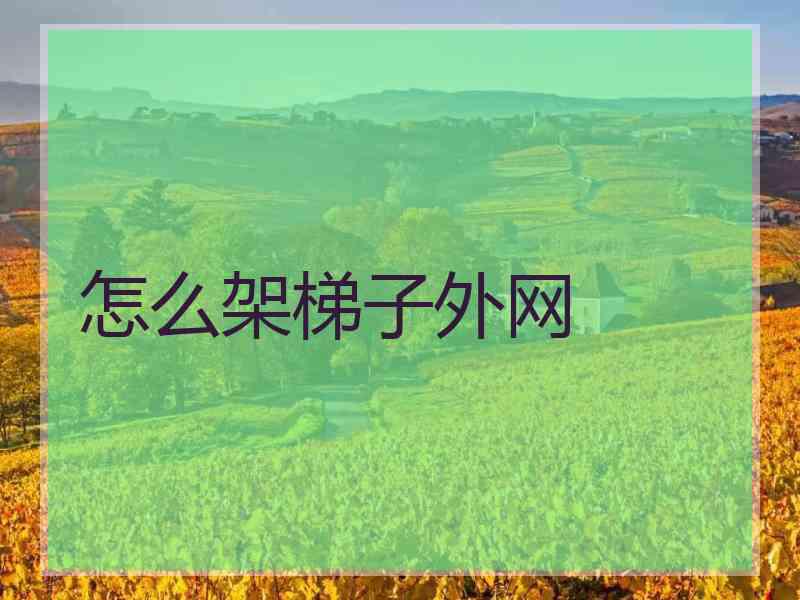怎么架梯子外网