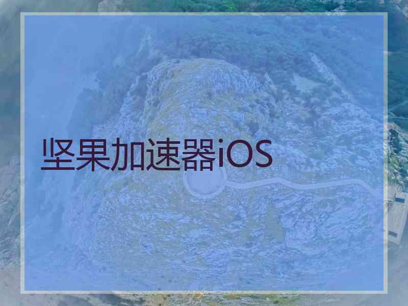 坚果加速器iOS