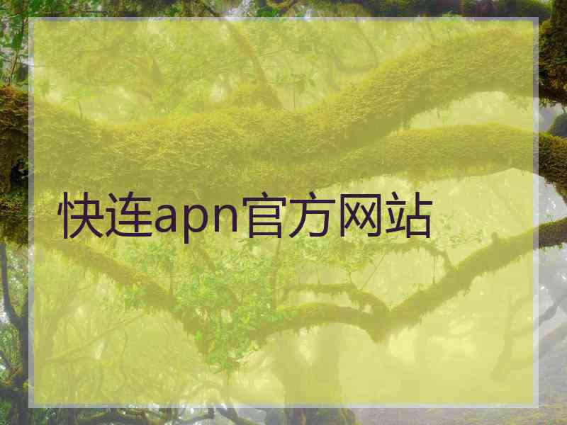 快连apn官方网站