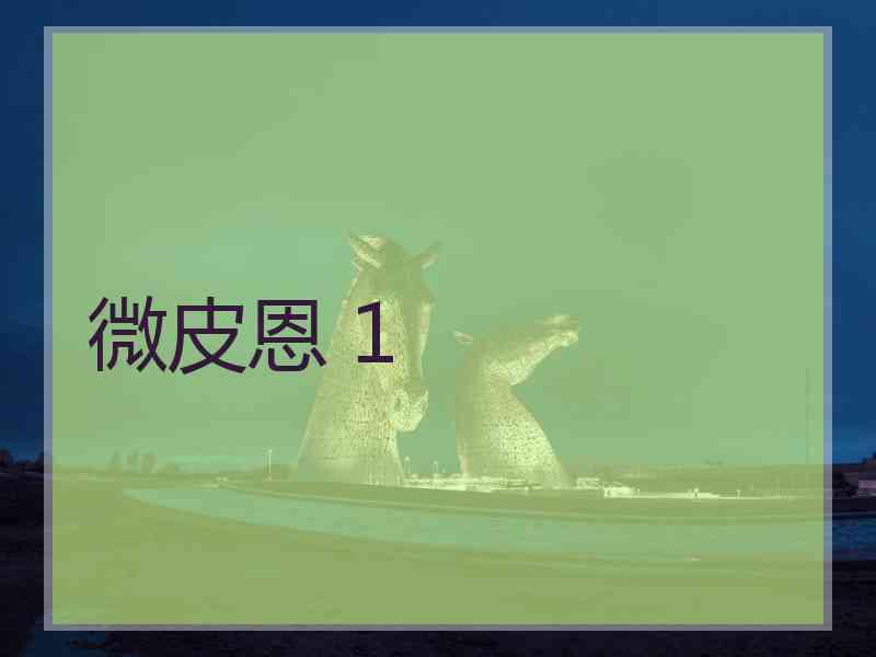 微皮恩 1