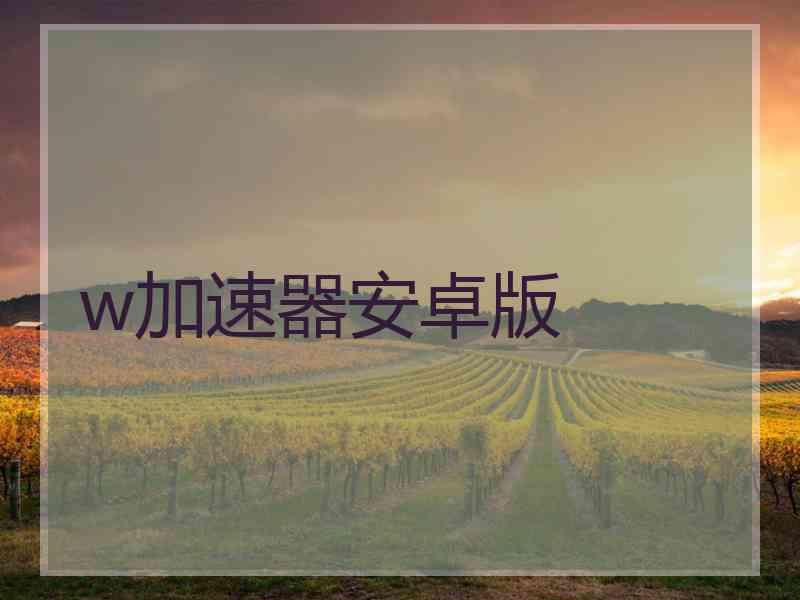 w加速器安卓版