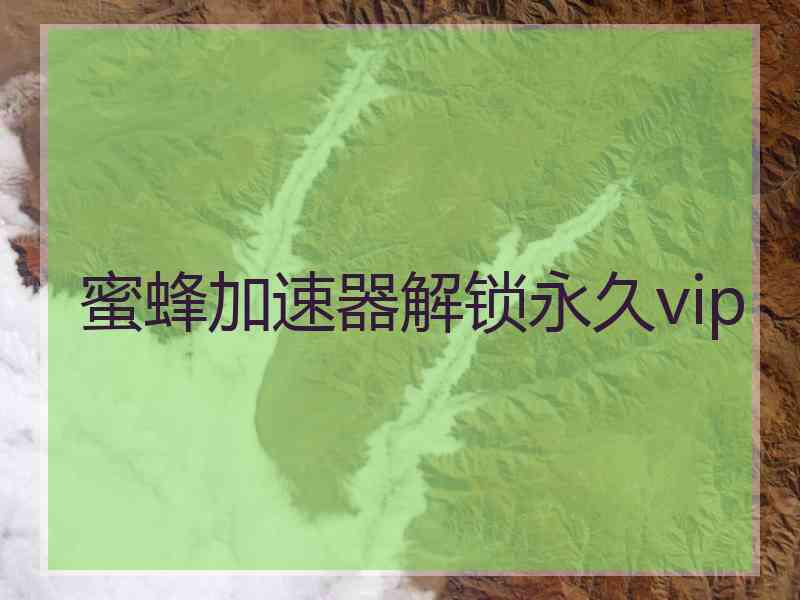 蜜蜂加速器解锁永久vip
