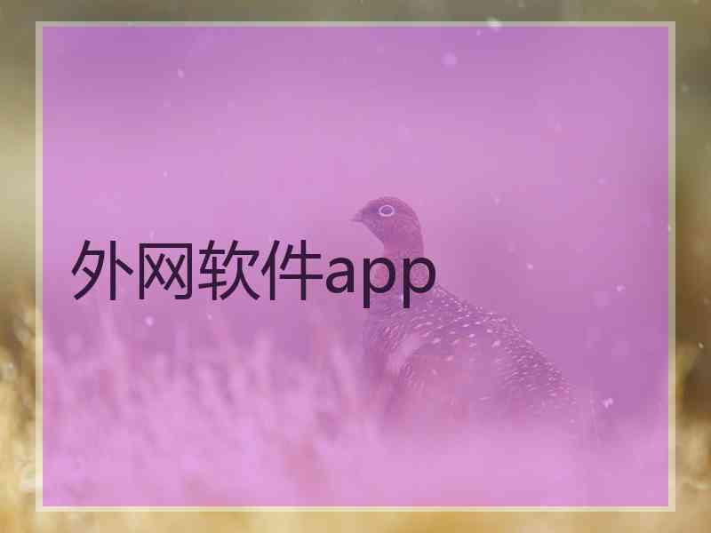 外网软件app