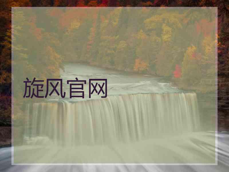 旋风官网