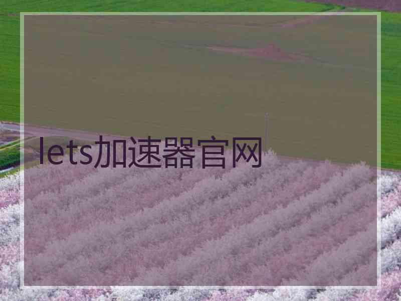 lets加速器官网