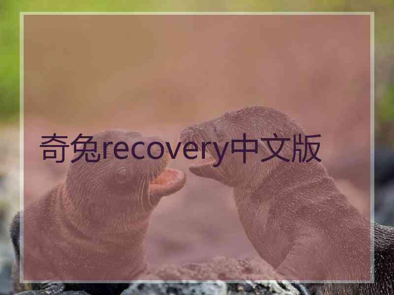奇兔recovery中文版