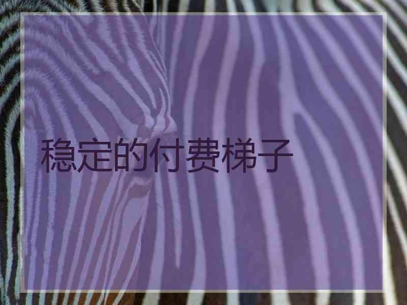 稳定的付费梯子