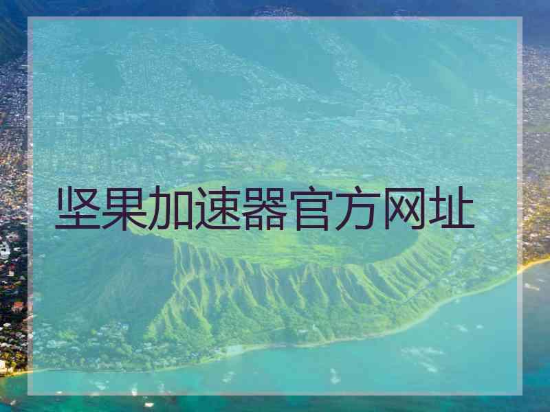 坚果加速器官方网址